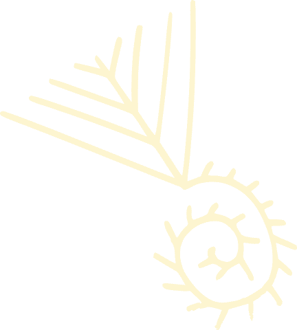Трипільська символіка